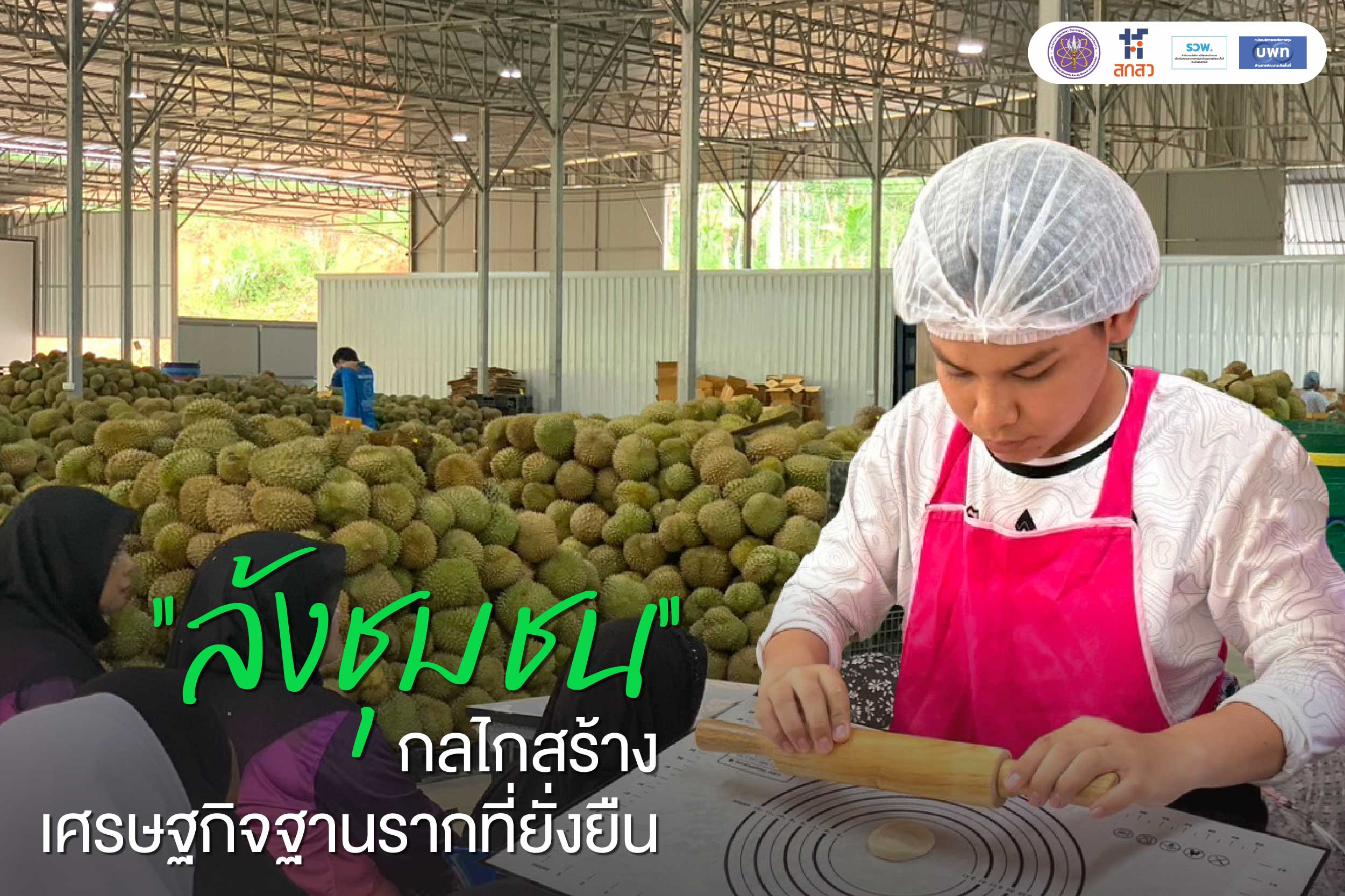 “ล้งชุมชน” กลไกสร้างเศรษฐกิจฐานรากที่ยั่งยืน